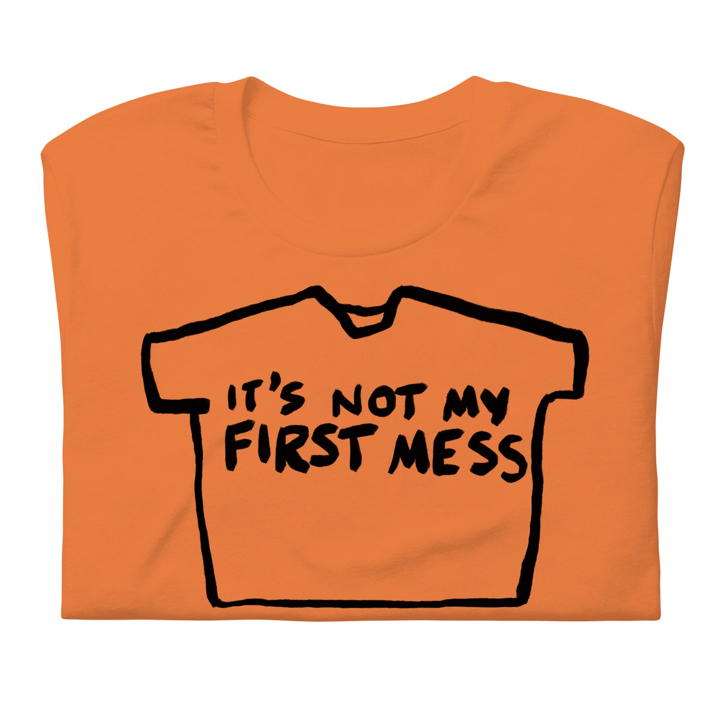 "It's not my first mess" tshirt in 13 colours